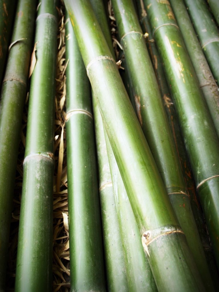 paramatex bamboo fibre 2