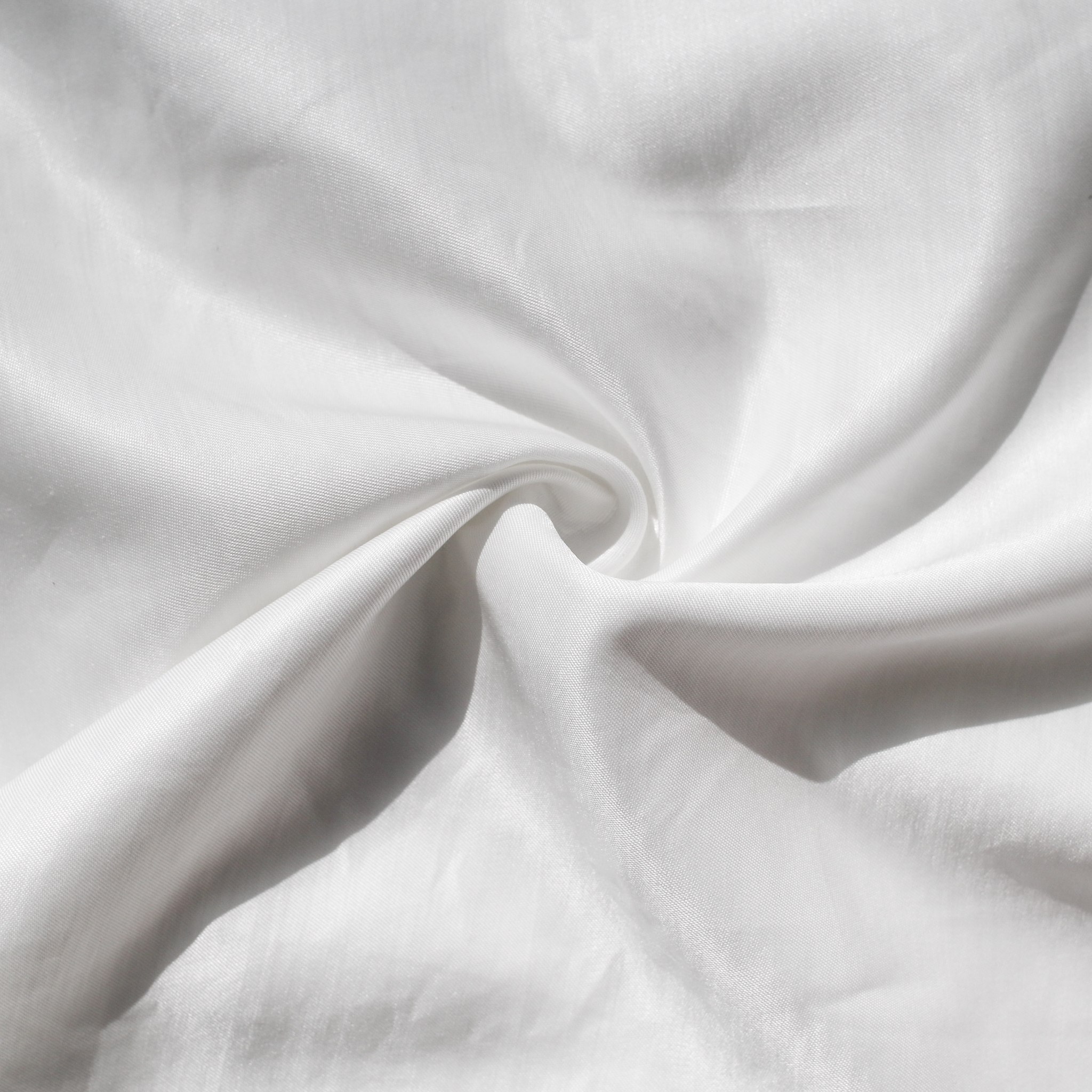 bembreg white 1 1